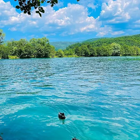 Сasa de vacaciones Crystal Racic *