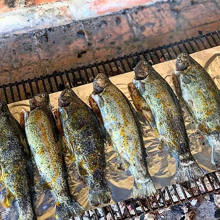 Crystal Racic Vikendica